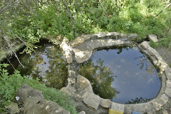 עיינות בוקר ברכס בוקר