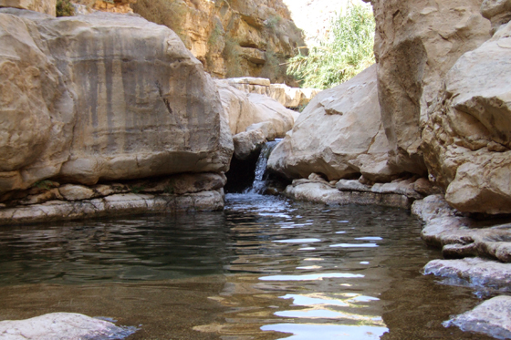 נחלים ומעיינות במדבר: הבריכה העגולה בנקיק נחל פרת עליון