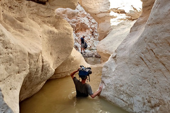 הולכים בתוך המים בנחל תקוע