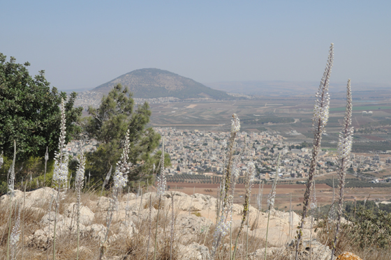 חצבים ונוף בהר הקפיצה