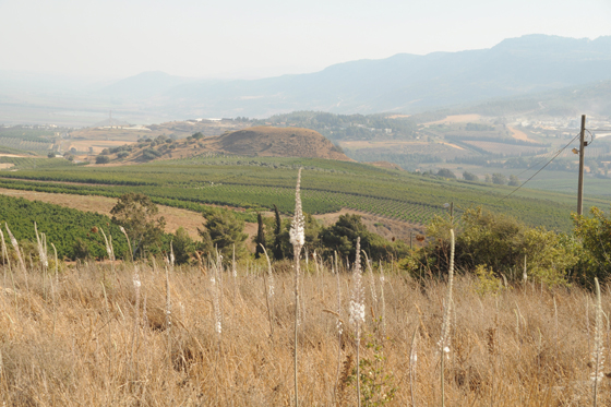חצבים במטולה