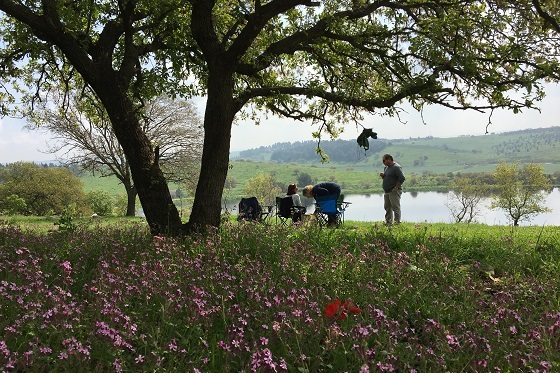 אירופה ברמות מנשה: התצפית המרשימה על האגמים הנעלמים ברמות מנשה