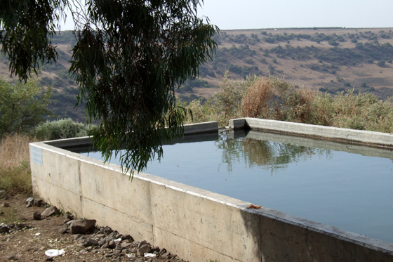 דרום רמת הגולן - מעיינות ותצפיות