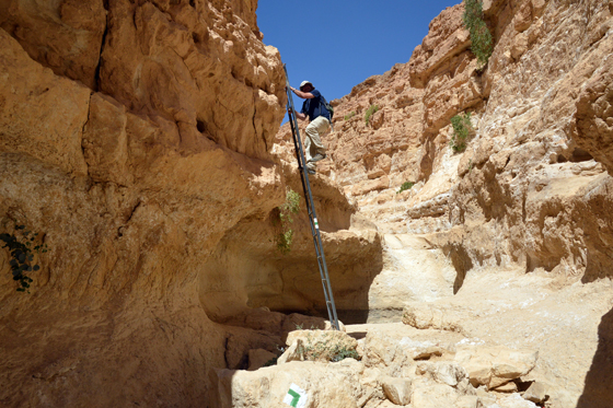 יורדים ועולים בסולמות בנחל עתק - הרי אילת