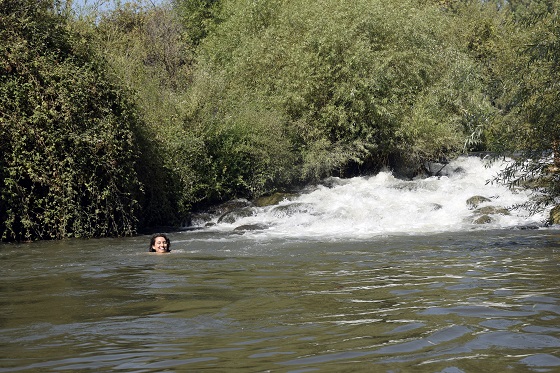 שוחים בבריכה שלמרגלות המפל הרחב בנחל חרמון תחתון