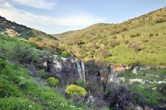מפל נחל מיצר זורם בין המורדות הירוקים