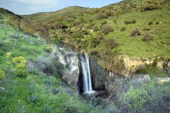 המפל בנחל מיצר בזרימת חורף ואביב - דרום רמת הגולן