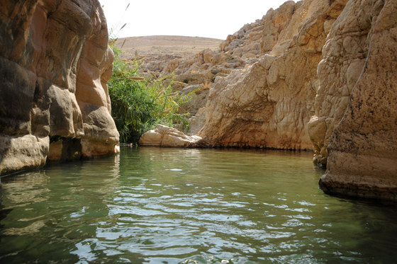 נחל פרת תחתון מסלול מעגלי | שמורת נחל פרת מדבר יהודה | מפה