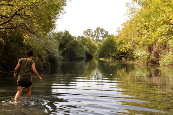 הולכים במים משתכשכים ומתקררים: נחל דליות - מסלול הליכה במים בשפך נחל דליות (המג'רסה)