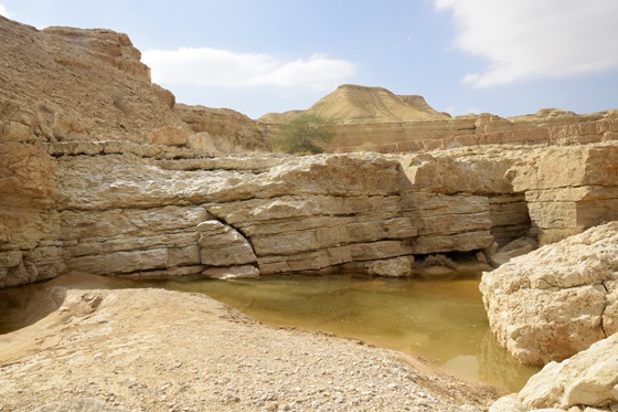 גב מלא במים בנחל עתק