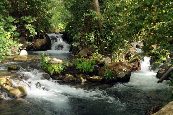 זרימת נחל חרמון הבניאס בחלקו העליון