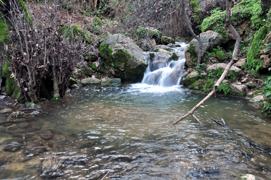 בריכות סודיות בגליל העליון: מפל מים ובריכה צלולה בנחל מירון