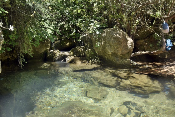 טיולי מים למשפחות: בריכת מים טבעית וצלולה בנחל מירון