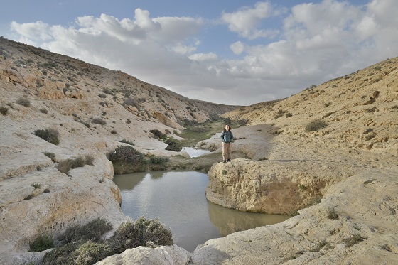 גבים בנחל שועלים