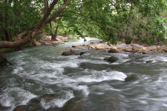 נחל שניר מסלול למשפחות