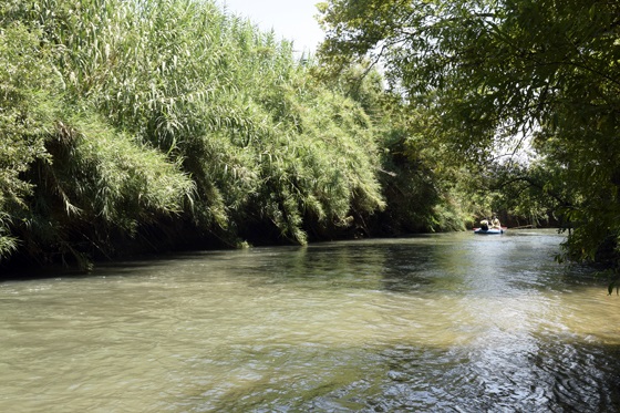 זרימת נחל שניר לאורך שביל הטיילת