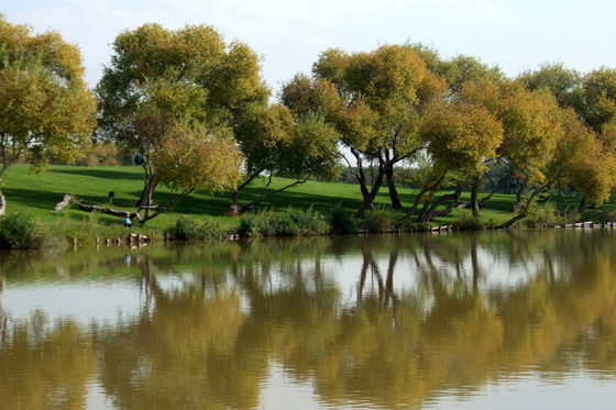 פארק הירקון תל אביב, לאורך נחל הירקון