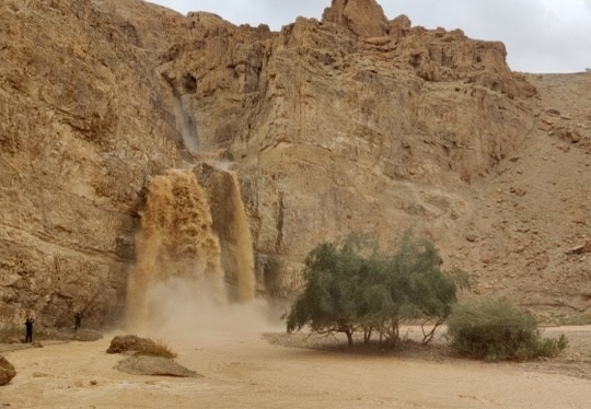 שיטפונות במדבר יהודה