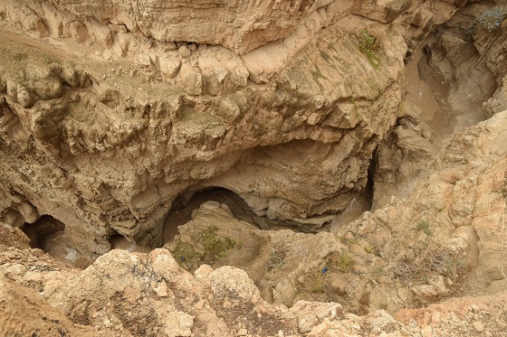 תצפית נחל אוג שיטפון