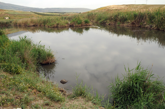 שמורת מורד הירדן