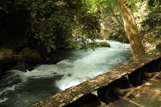מים שוצפים לצד הטנק הסורי - בריכת הטנק הסורי בנחל חרמון תיכון