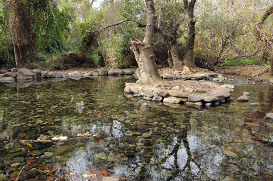 בריכת השכשוך בשמורת תל דן