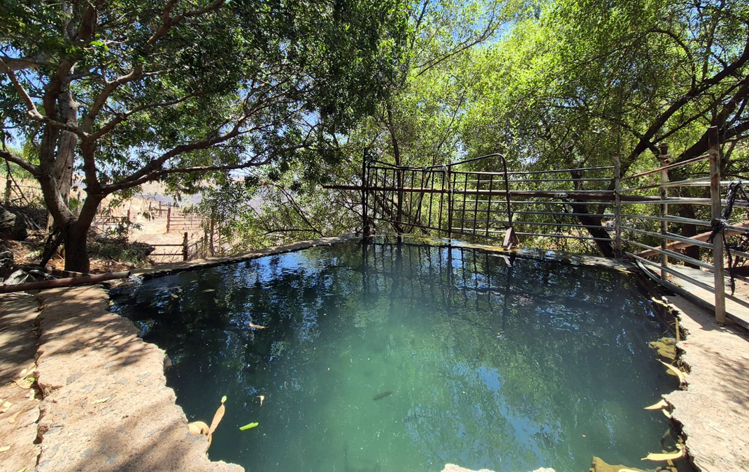 30 מעיינות ובריכות מוצלים – גישה מהירה, הליכה קצרה וטבילה מרעננת לקיץ. מעיין הבוקרים ברמת כורזים מלא וצלול. צילום: עירית צוק קובצ'י