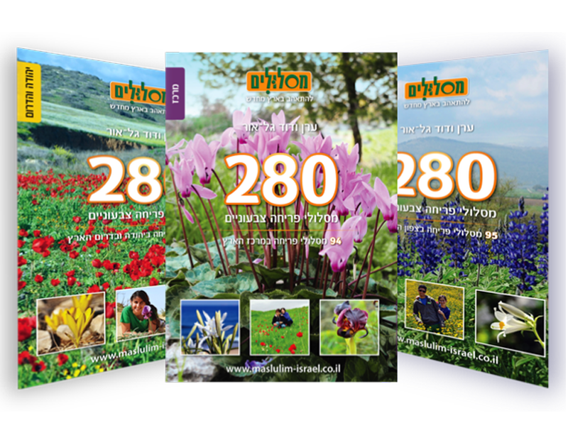 280 מסלולי פריחה צבעוניים