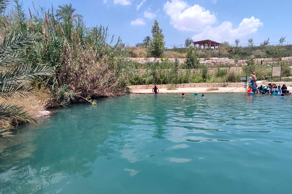 עמק המעיינות במיטבו: טיולי מים מונגשים - בריכה ענקית בגן הלאומי עין יהודה
