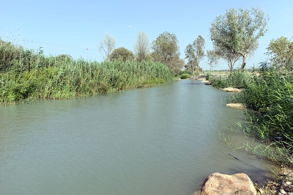 טיולי מים למשפחות: עין עדעד, בריכות מעיין בעמק יזרעאל