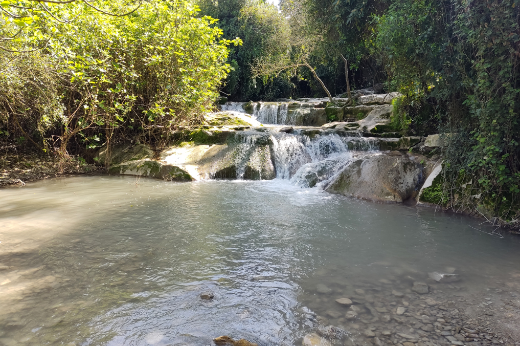 נחל השופט - בריכות ומפלים