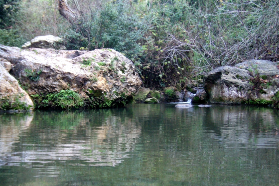 בריכה בנחל כזיב