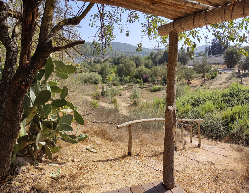 סיור במוצא - העמק הנעלם