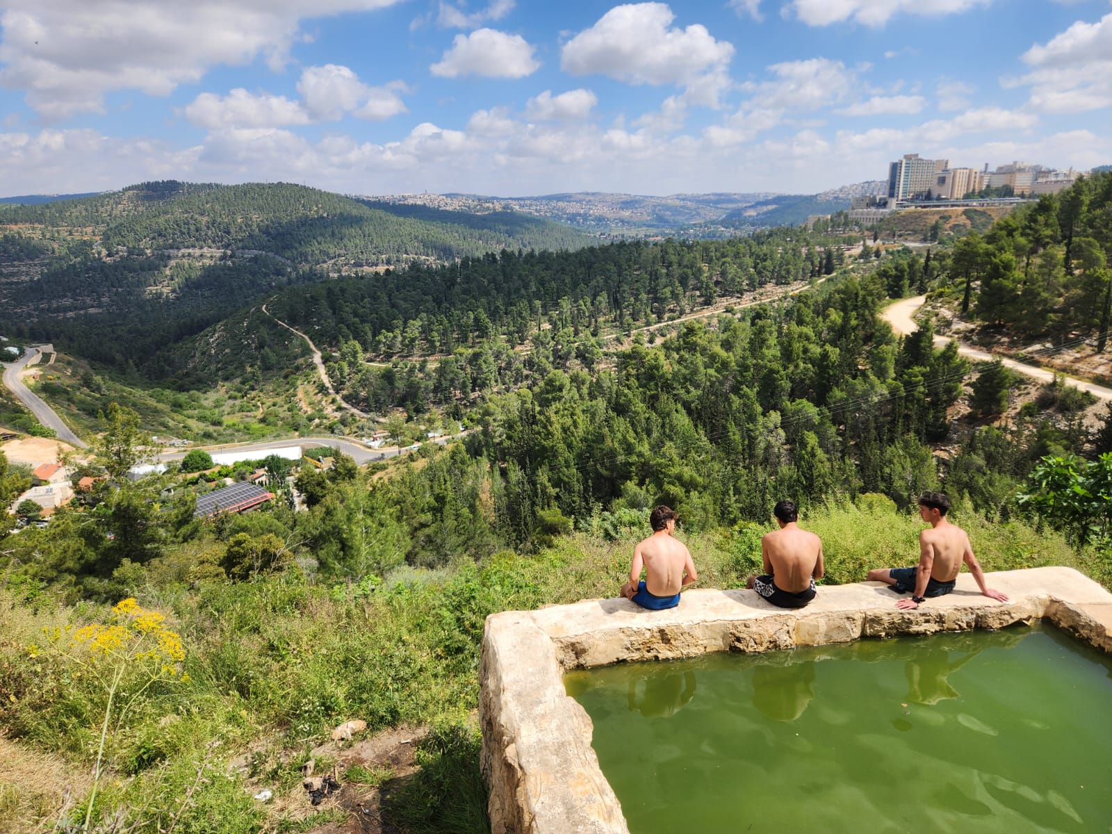מעיינות בלב היער