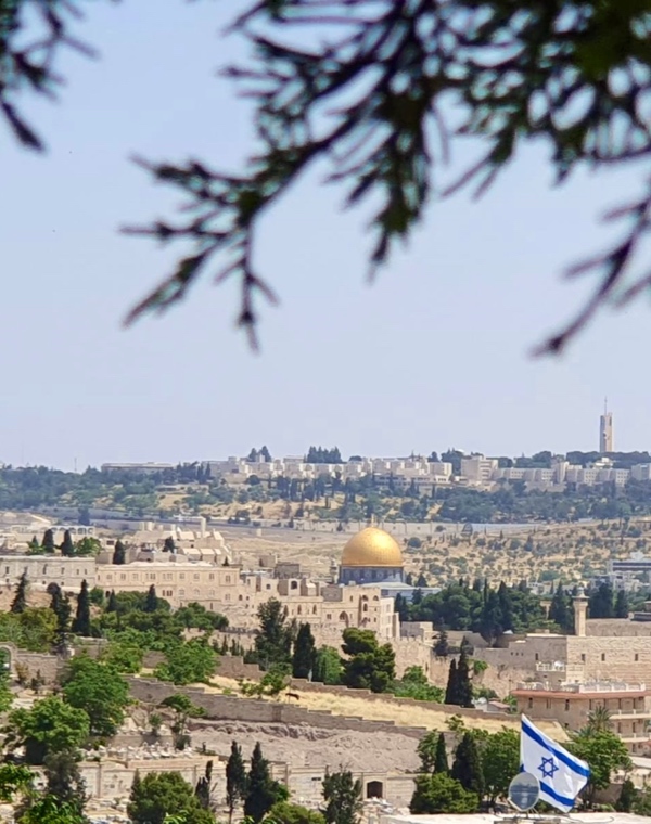 סיורים ואתרים בירושלים - תצפית משכונת אבו טור