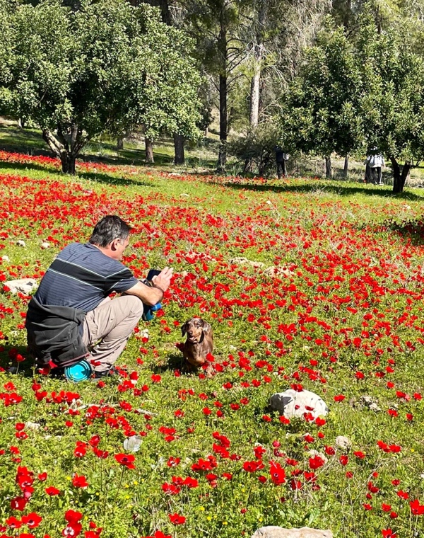 נקודות חן תצפיות ופריחה