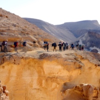 מסלולי הליכה