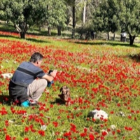 נקודות חן תצפיות ופריחה