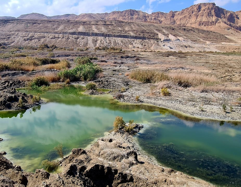 טיול בולענים בים המלח 11.12 (צהרים עד שקיעה)