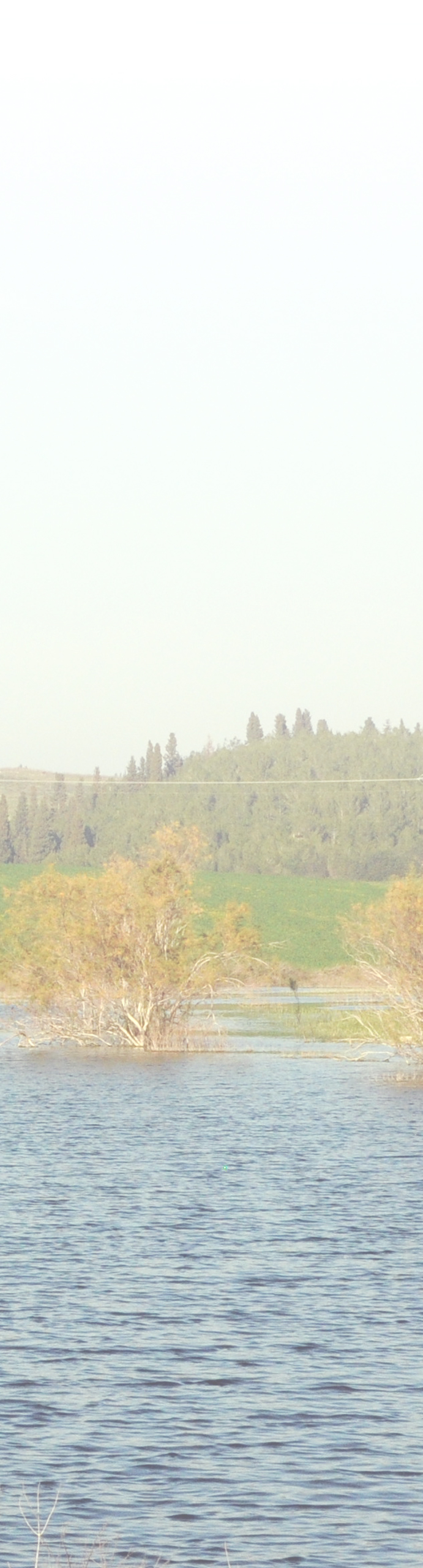 מנויים במסלולים