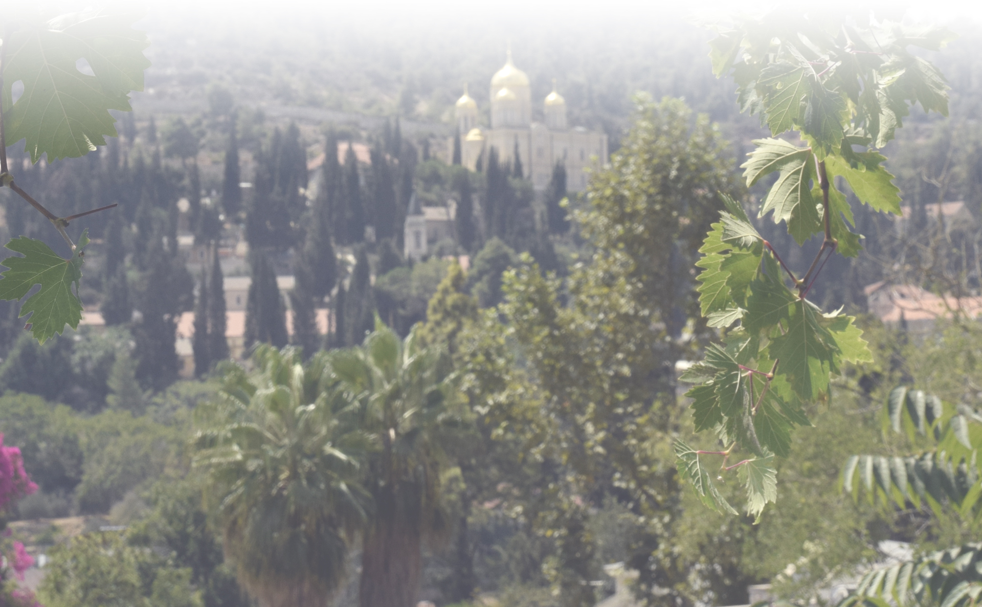 הסיורים המודרכים של מסלולים