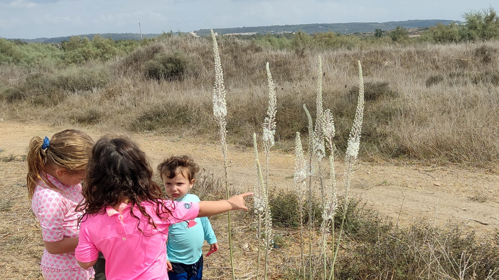 חצבים בתל דור