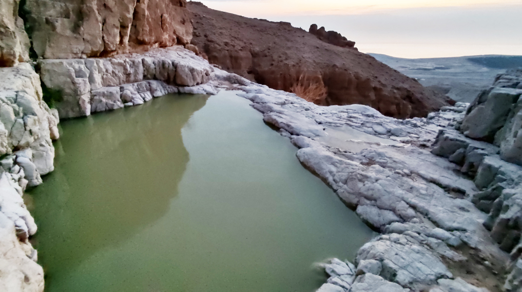 גב מזין בזריחה