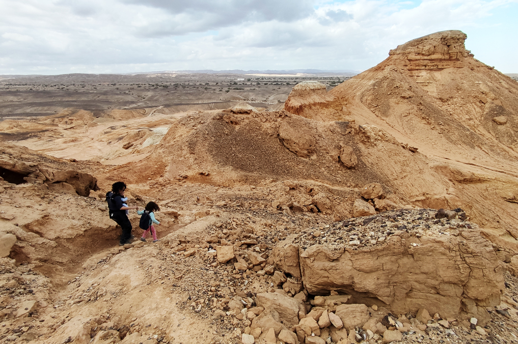 מסלולים משפחתיים בדרום: הר השולחן של גבעת חצבה - צפון הערבה