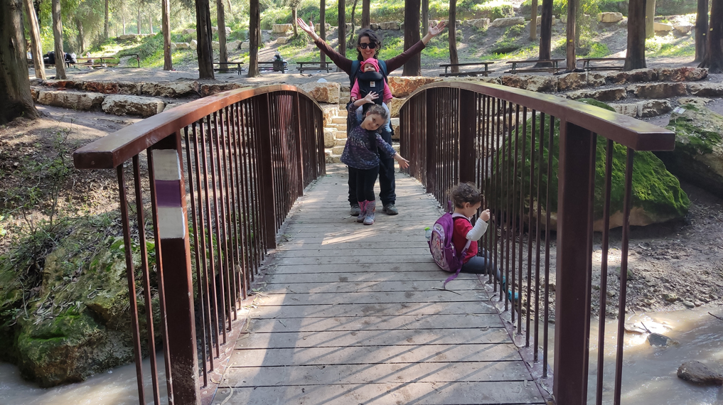 אירופה ברמות מנשה: חוצים את נחל גחר על גבי גשרון עץ