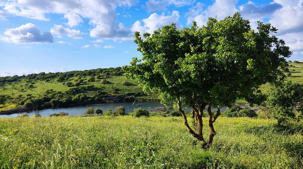 אירופה ברמות מנשה: התצפית הנהדרת על מאגר גלעד מדרום