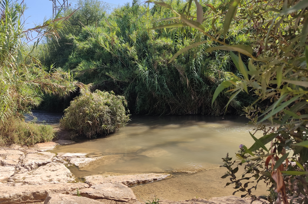 בריכת שכשוך והליכה בתוך המים של נחל הירקון