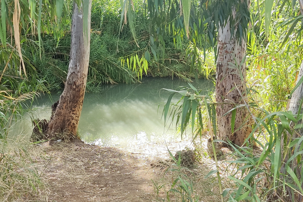 30 מעיינות ובריכות מוצלים – גישה מהירה, הליכה קצרה וטבילה מרעננת לקיץ. בריכת השער - בריכה בנחל הירקון, סמוך לכפר הבפטיסטים ומקורות הירקון