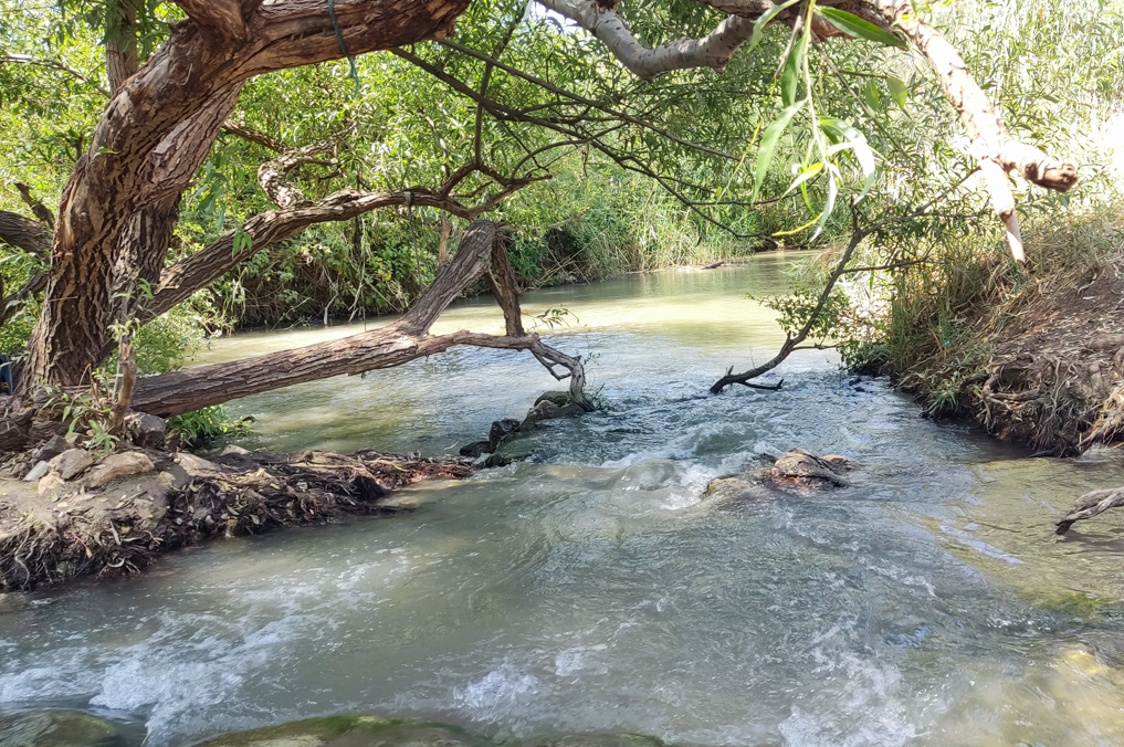 טיולי חג סוכות 2025 - בריכות ומפלונים בנחל הירקון, סמוך לבית לאה, מסלול מעגלי