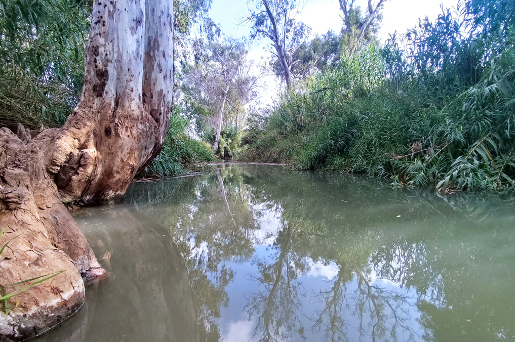 הרפתקאות מרעננות בלב המרכז, גוש דן - בריכה בנחל הירקון לצד כפר הבפטיסטים